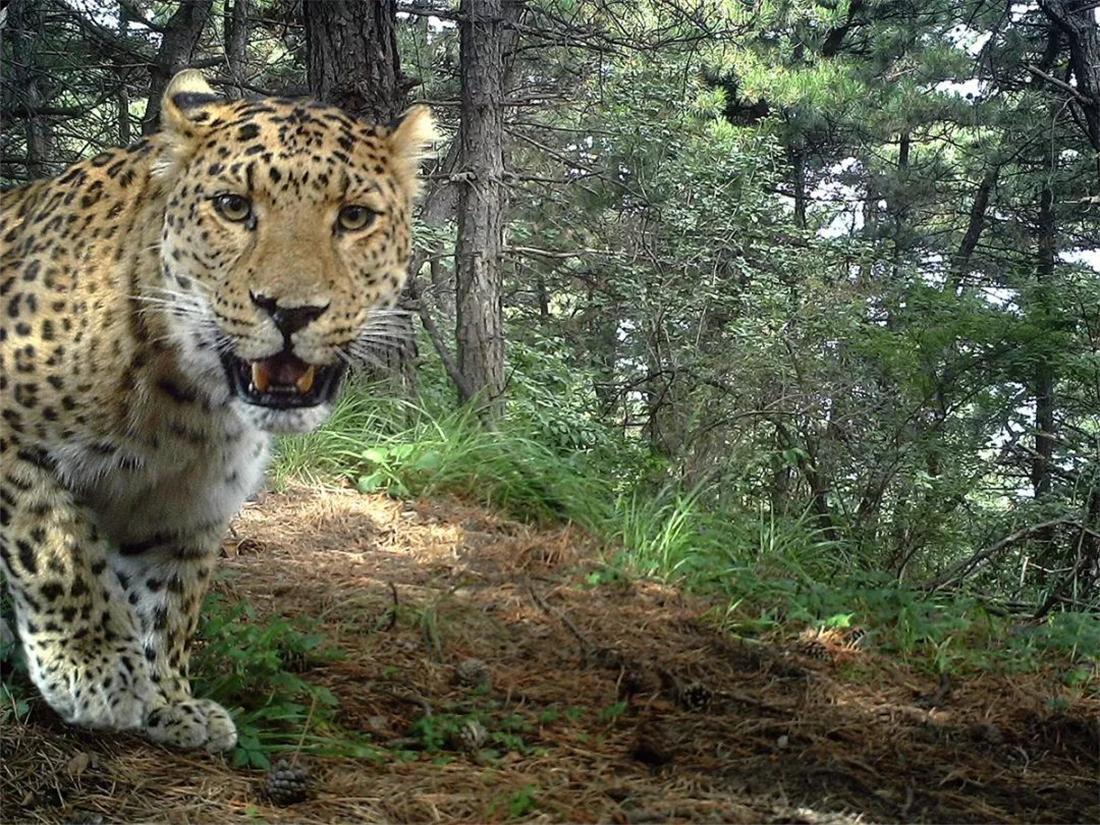 承德,历史与文化的交汇之地